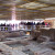 Inner sanctum of Maya Devi Temple Inner sanctum of Maya Devi Temple