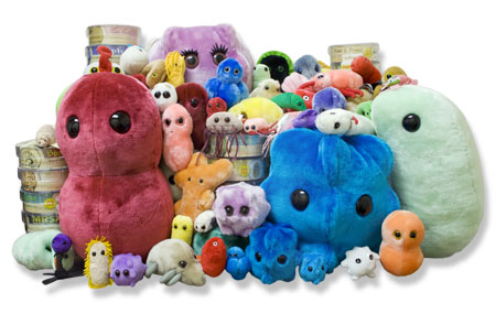Stuffed animals that resemble microbes, only thousands of times bigger than a real microbe.