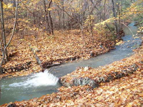 Sawmill Valley Trail, Mississauga