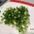 Chopped green onions for garnish Chopped green onions for garnish