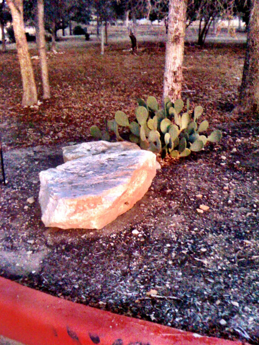 Cactus and rock add interest to the terrain!