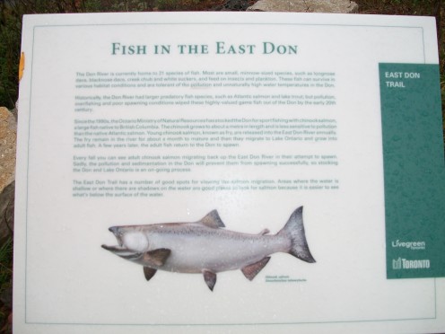 Interpretive panel, East Don River, Charles Sauriol Conservation Area, Toronto