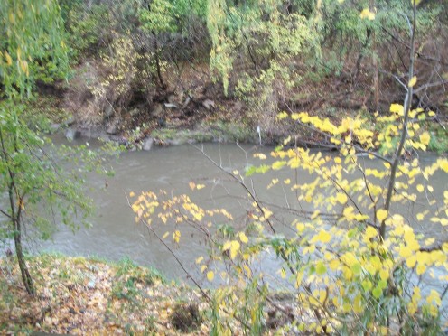 East Don River, Charles Sauriol Conservation Area, Toronto