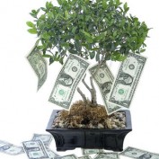 bestcashgifting profile image