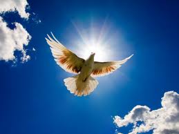 Has peace and harmony ever been a more fleeting ideal than it is today?