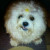 Coco Modugno has her own Facebook fan page.  Visit her today to check out her photo album.