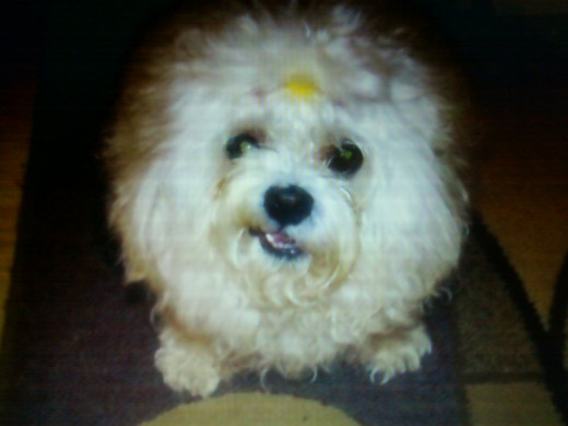 Coco Modugno has her own Facebook fan page.  Visit her today to check out her photo album.