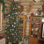 The woodland tree The woodland tree