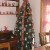 The Barbie tree The Barbie tree