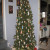 The angel tree The angel tree