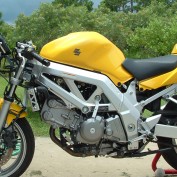 tstauffacher profile image