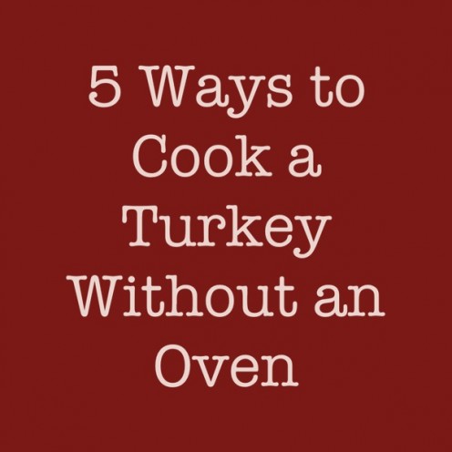 5 Ways to Cook a Turkey Without an Oven 5 Ways to Cook a Turkey Without an Oven