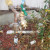 Water shut off valve by garage Water shut off valve by garage