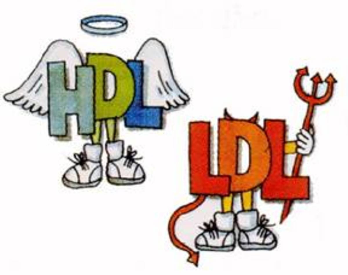 HDL is the good cholesterol. LDL is the bad cholesterol.