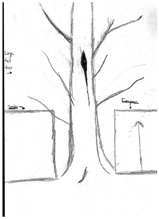 Basic structure of the tree