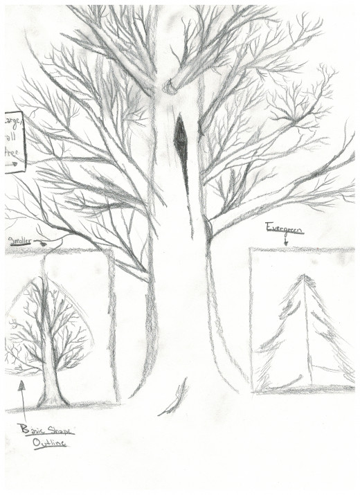 Adding Detail Branches
