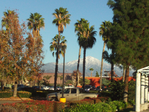 Palm trees and the snow on the San Gorgonio Mountains is quite alluring.