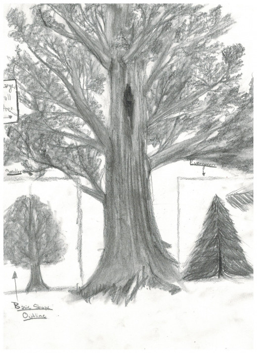 This is the finished product. Sorry my scanner isn't the best!