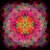 Flower Mandala Flower Mandala