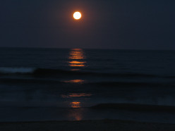 Dejected!, Part Four and The Final Installation