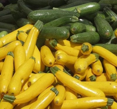 Zucchini comes in many different varieties and many of these have a distinct flavor.  