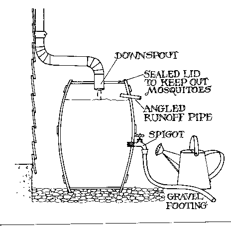 Diagram Of How You Can Set Up Your Rain Barrel. 