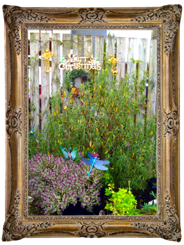 ERIN AND VAL'S CHRISTMAS GARDEN.