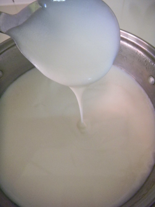 In the morning you should have a thicker yogurt mix, Drinking yogurt style. To make your yogurt thicker to greek style or to remove a great amount of whey, follow the next steps.