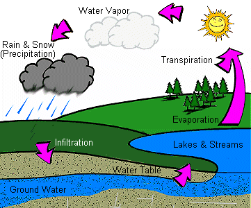 Water Life Cycle