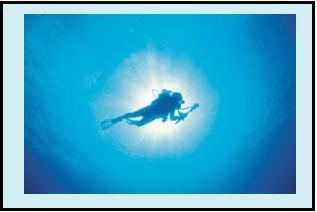 SCUBA divers are susceptible to Decompression Sickness.