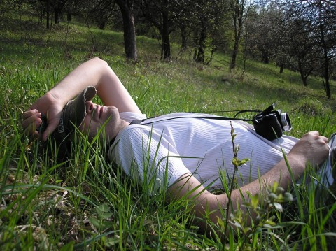 Relax, and get some fresh air and sunshine.