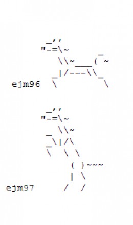 Year of the Horse: Happy New Year ASCII Text Art | hubpages