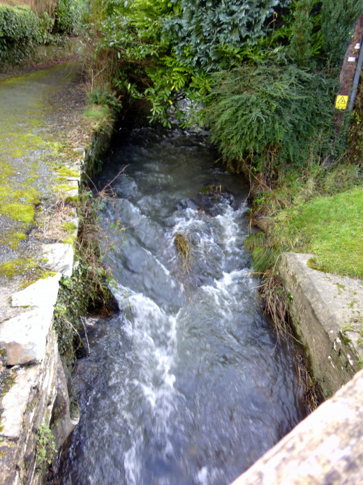 A stream gushing by.