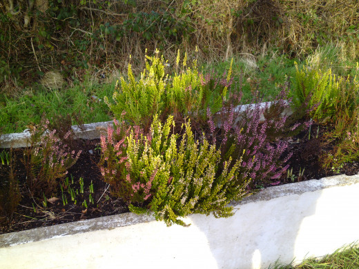 New Year Heather.