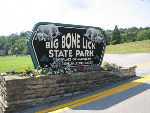 Big Bone Lick State Park Pleistocene fossil locality on Kentucky, USA