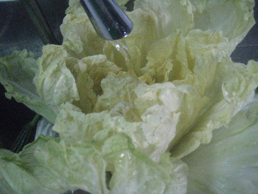 The hunted veggie - Baguio pechay or Chinese cabbage (Photo Source: Ireno A. Alcala)