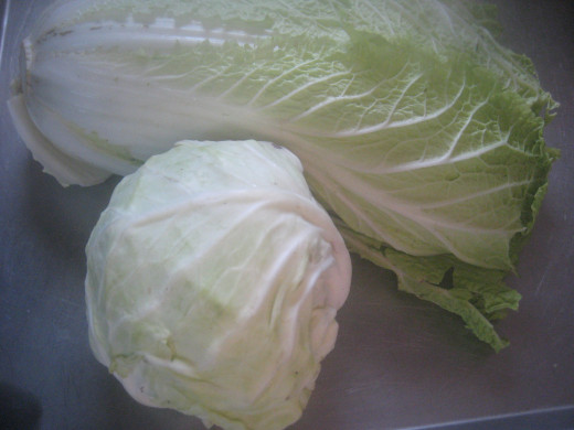 War of the Cabbages (Photo Source: Ireno A. Alcala)