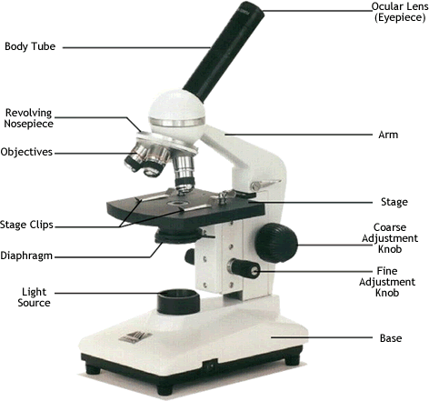 Light Microscope.