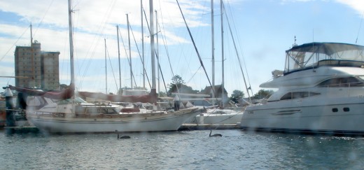 Local Black Swans Near the Landing