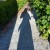 Don't lose yourself, becoming a shadow of your greatness in order to maintain an impossible! Be a real live domestic goddess learn how here! Don't lose yourself, becoming a shadow of your greatness in order to maintain an impossible! Be a real live domestic goddess learn how here!