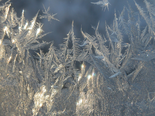 Frost On Glass