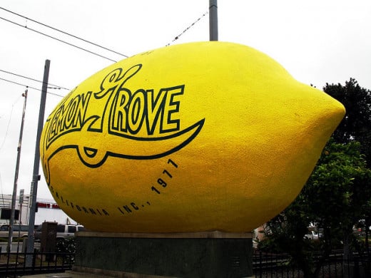 World's Largest Lemon