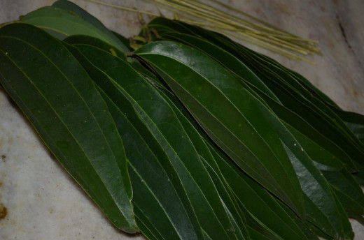 clean the  bay leafs (Vayana ila)