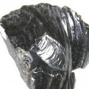Obsidian profile image