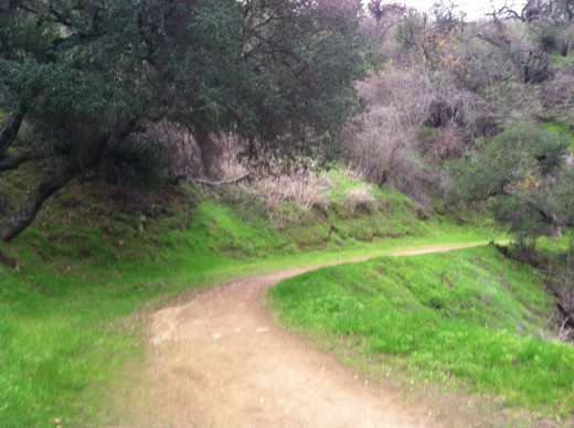 Griffith Park, Los Angeles, CA