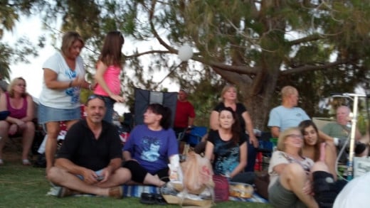 a picnic and concert in the park