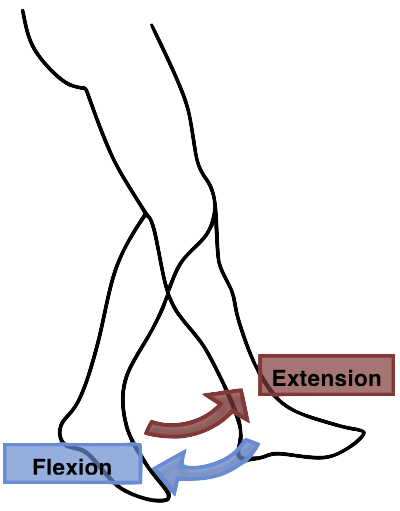 Extension and Flexion, such as the movement of walking, occurs on the Sagittal Plane