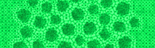 - Green Life -