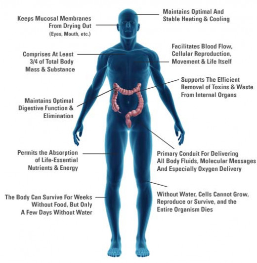This picture shows how drinking water is really good for the body and explains how it helps.