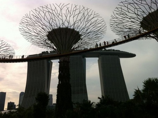 Supertrees and Walkway at Gardens on the Bay With Marina Sands in the Background